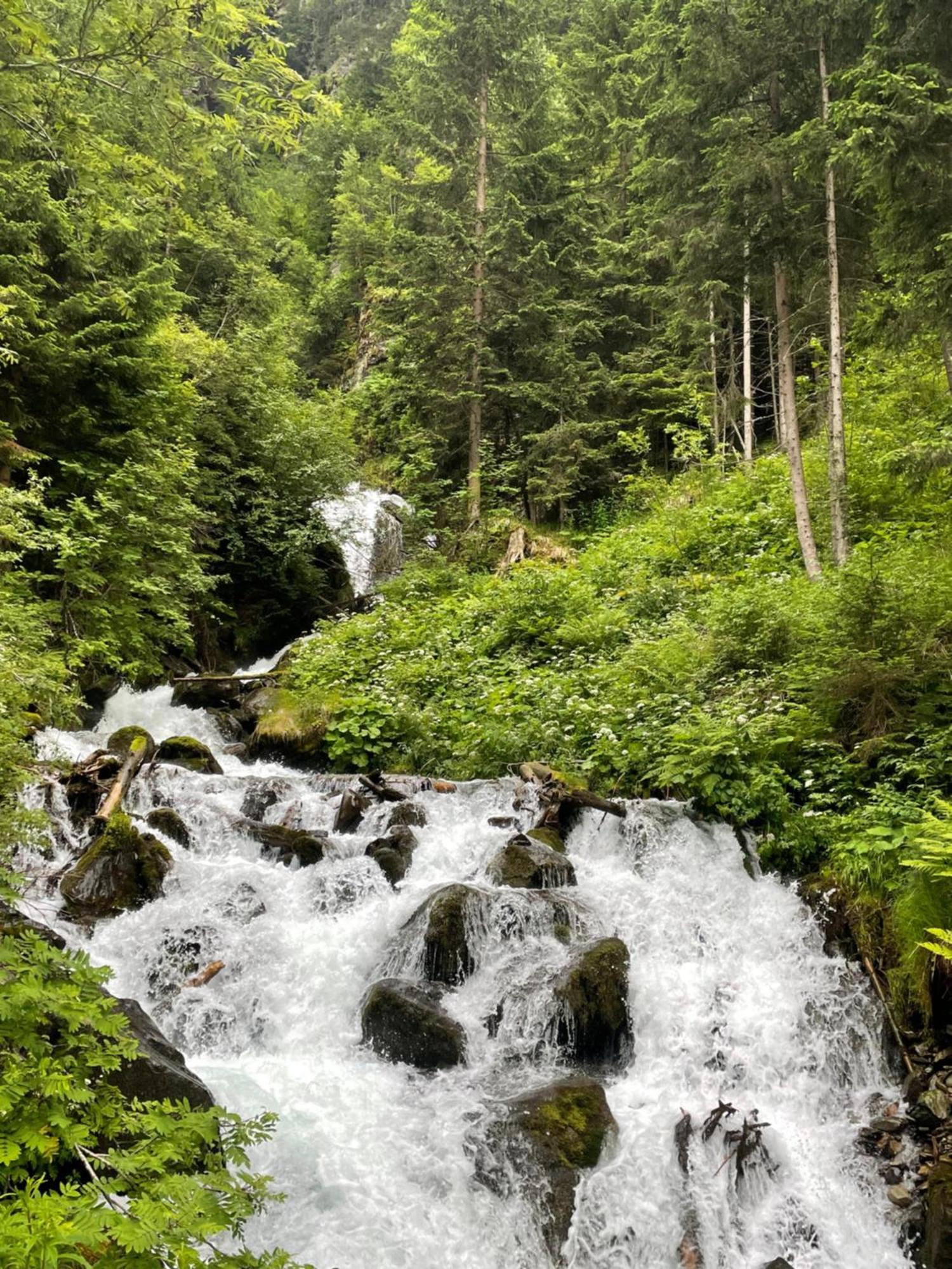 Apart Garni Wiesenhof Kappl  Buitenkant foto